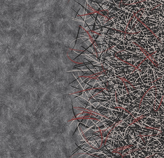 312002 Vortex ruby A2